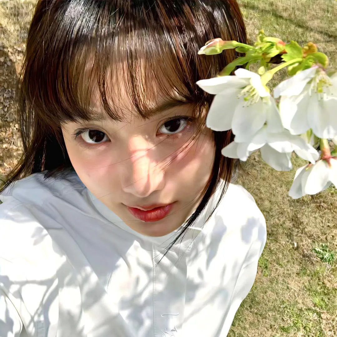 完全夏绿蒂